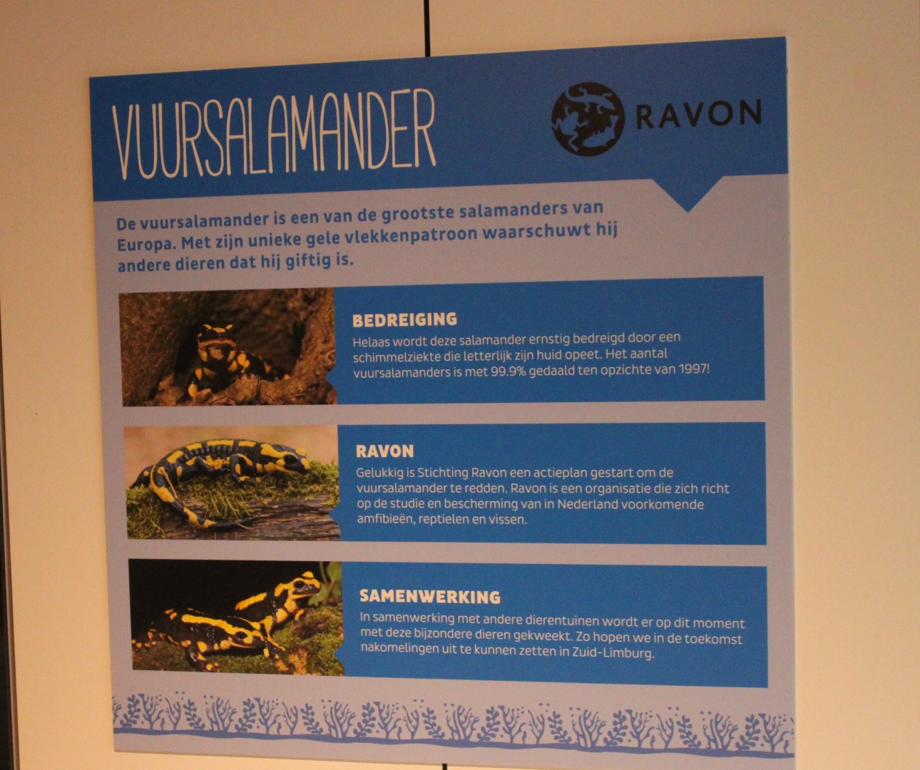 Conservation Center - Info-sign Project Fire salamander