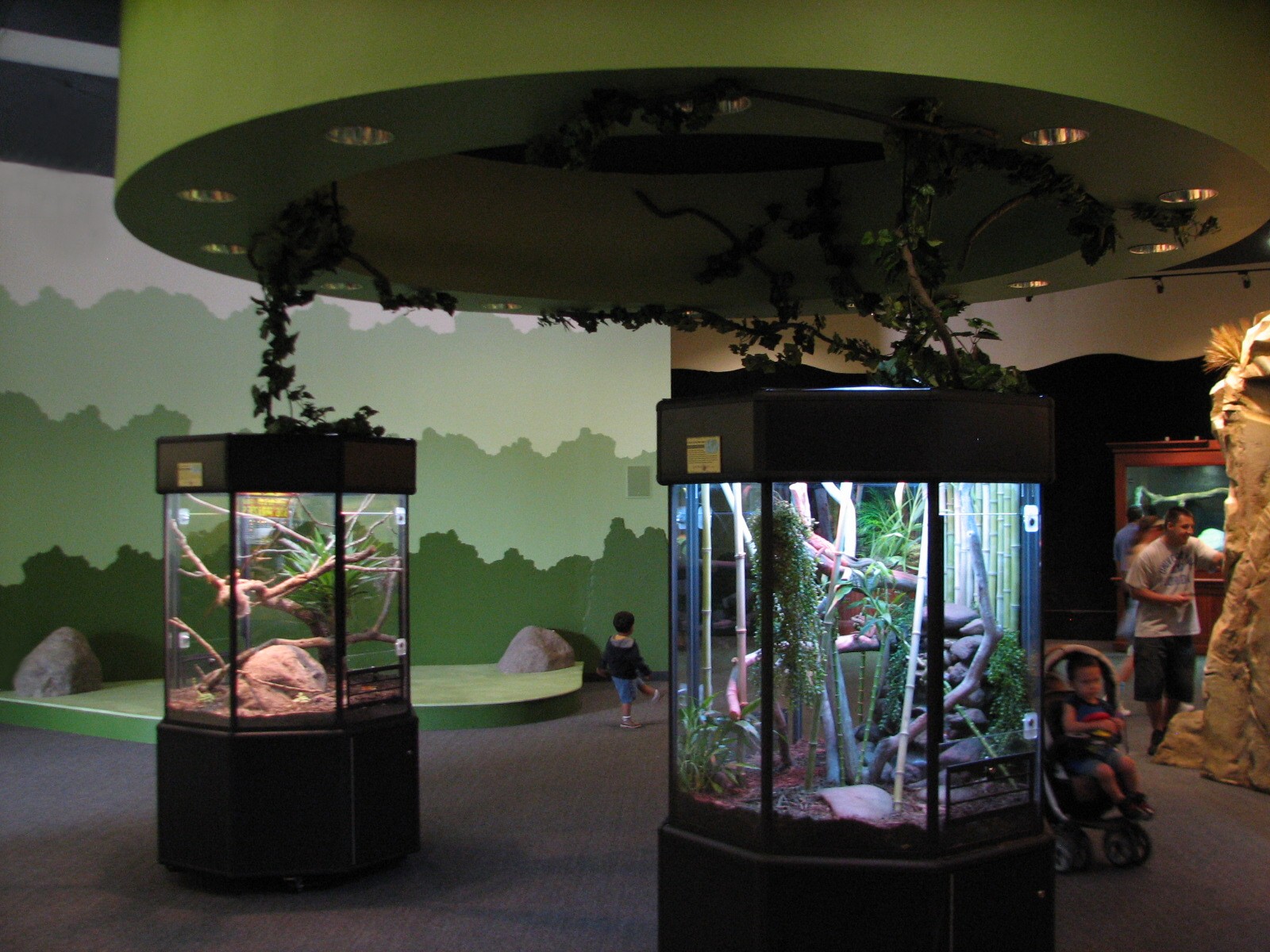 Conservation Center - Interior