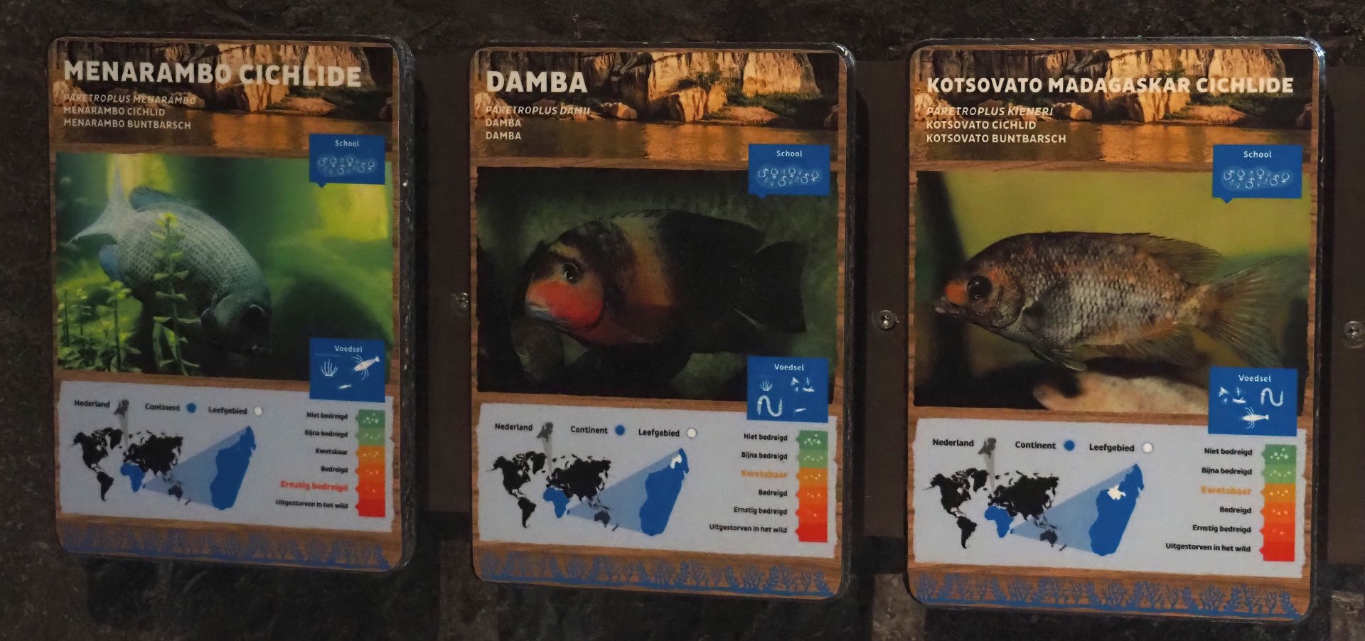 Conservation Center - Madagascar cichlid signage, 2024-06-30