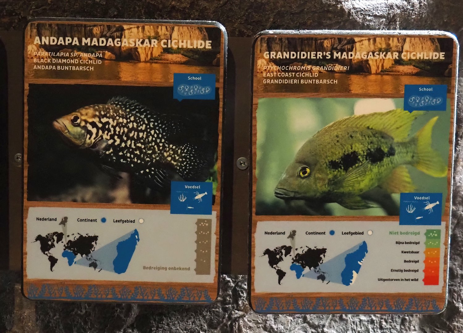 Conservation Center - Madagascar cichlid signage, 2024-06-30