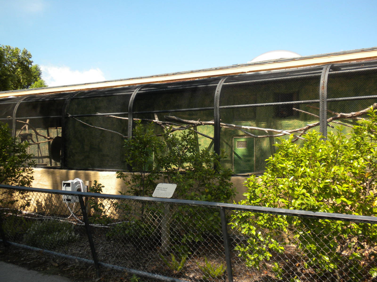Conservation Center - Outdoor Monkey cages