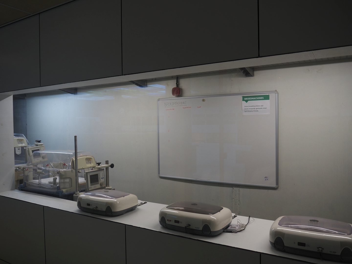 Conservation Center - Reptile incubator room, 2024-06-30