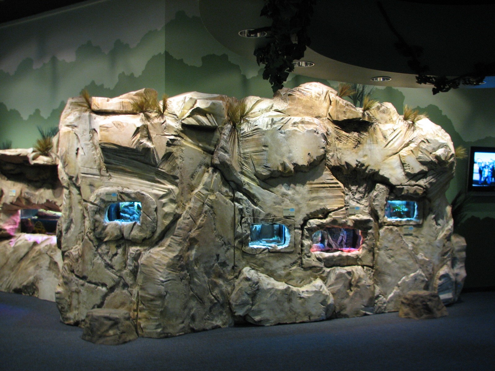 Conservation Center - Terrariums