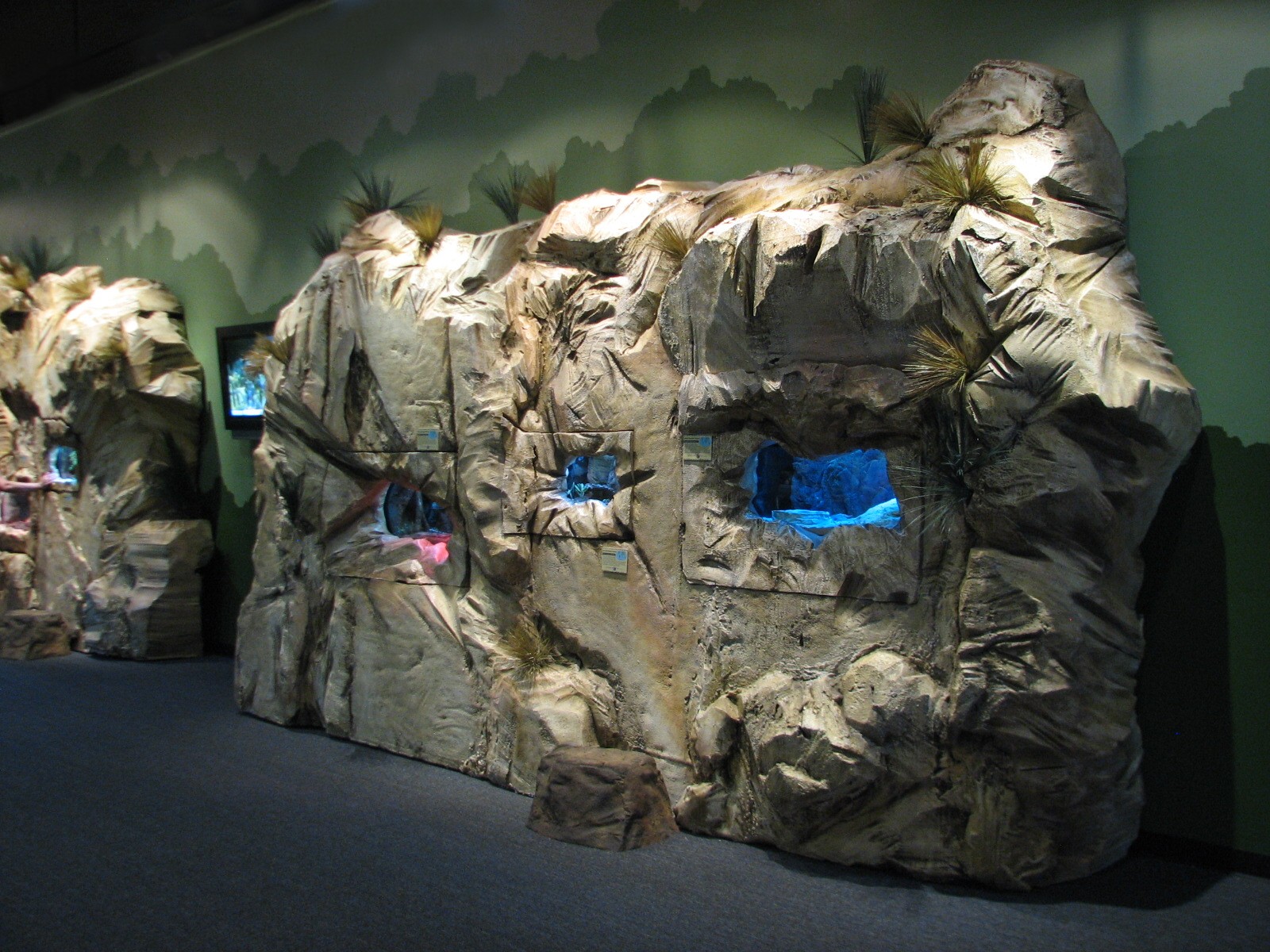 Conservation Center - Terrariums