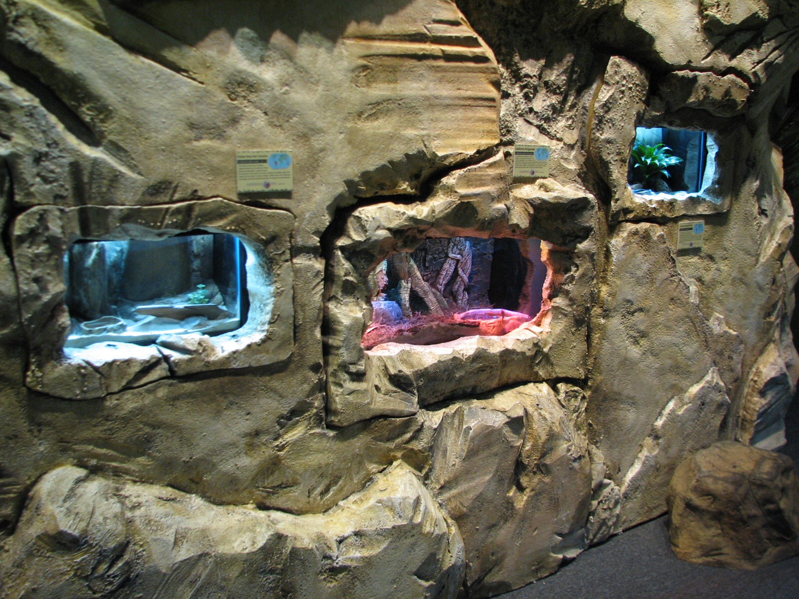 Conservation Center - Terrariums