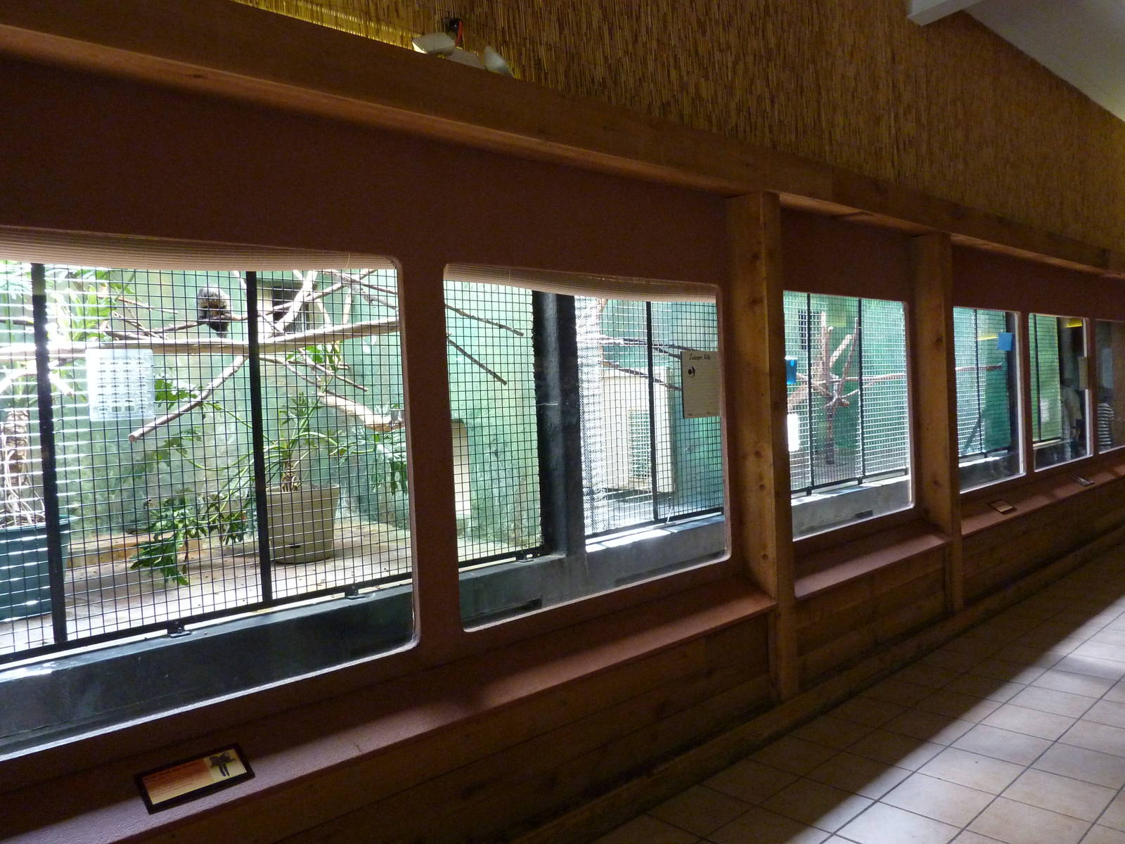 Conservation Centre - Primates, Birds, Reptiles, Amphibians + Fish
