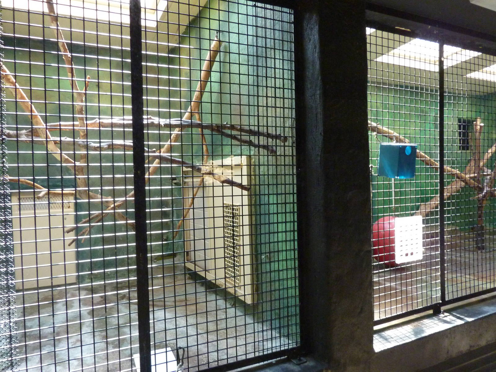 Conservation Centre - Primates, Birds, Reptiles, Amphibians + Fish