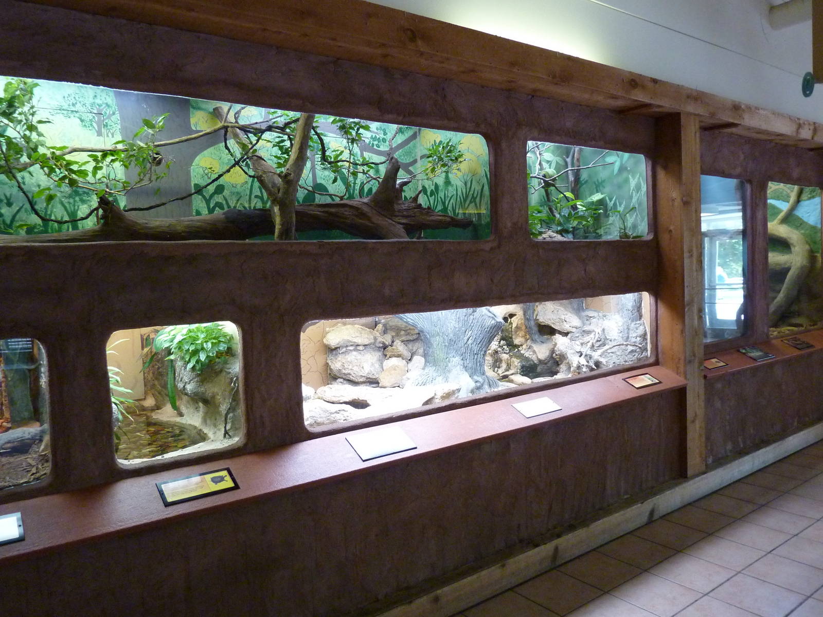 Conservation Centre - Primates, Birds, Reptiles, Amphibians + Fish