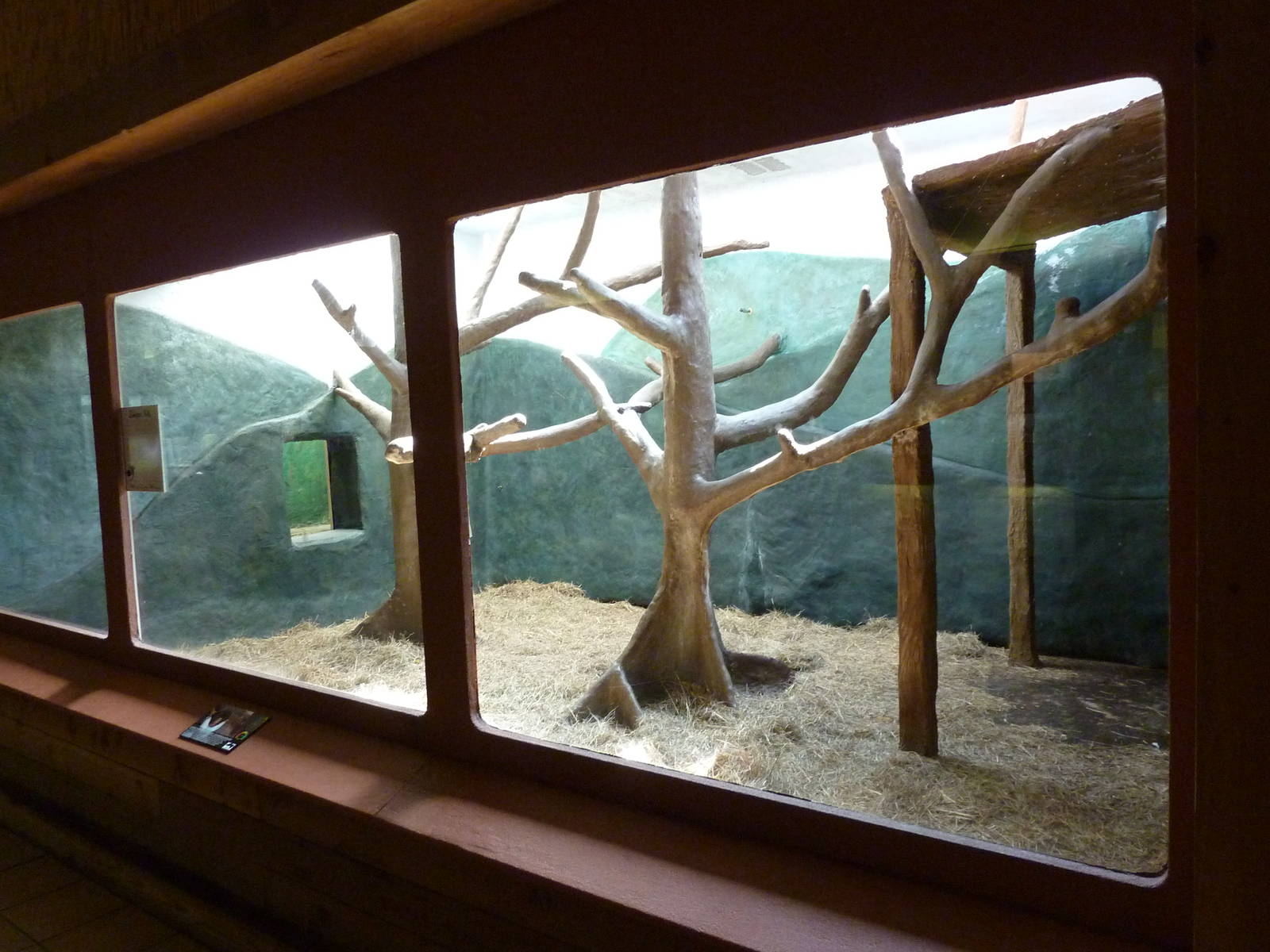 Conservation Centre - Primates, Birds, Reptiles, Amphibians + Fish