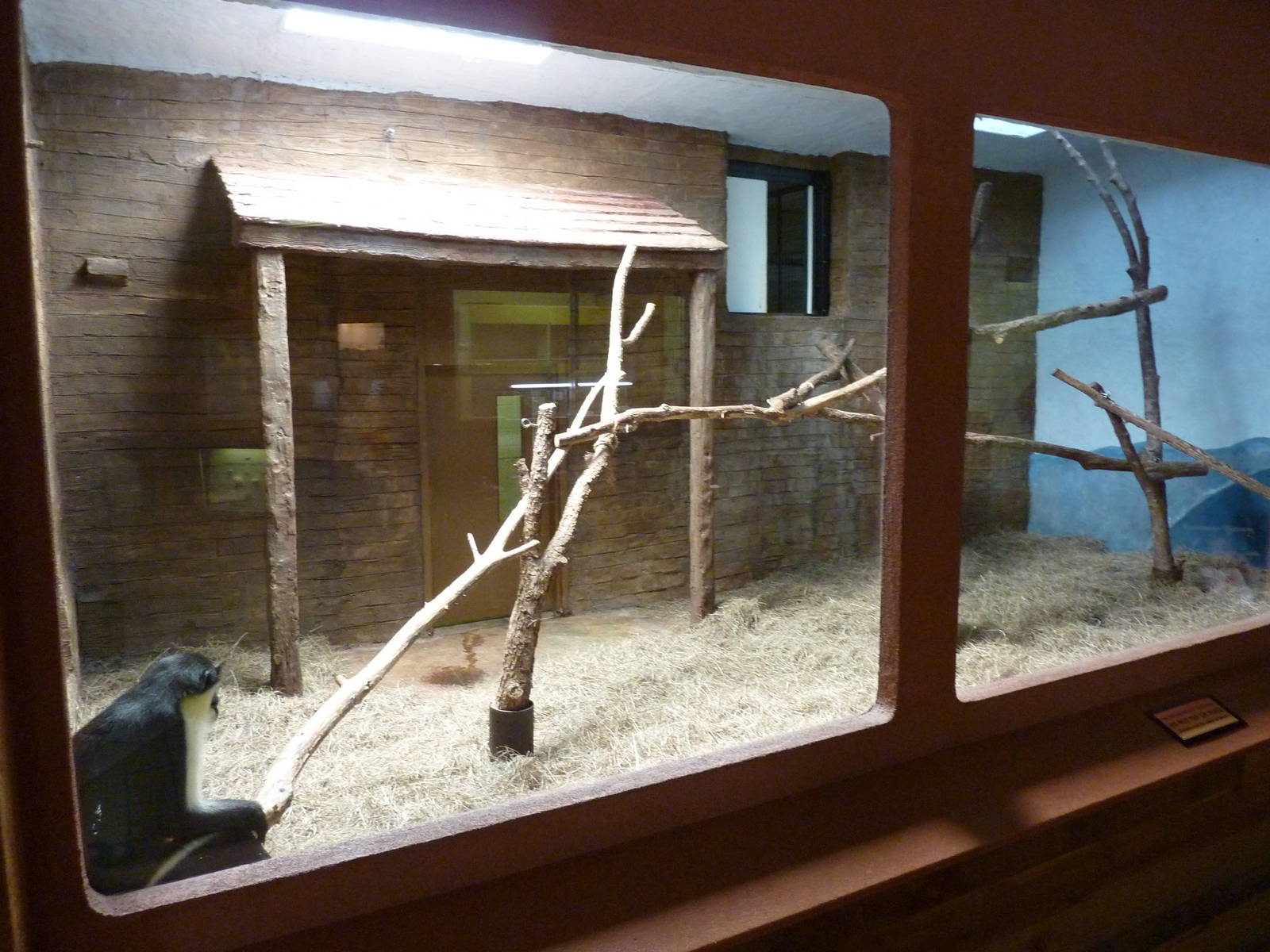 Conservation Centre - Primates, Birds, Reptiles, Amphibians + Fish