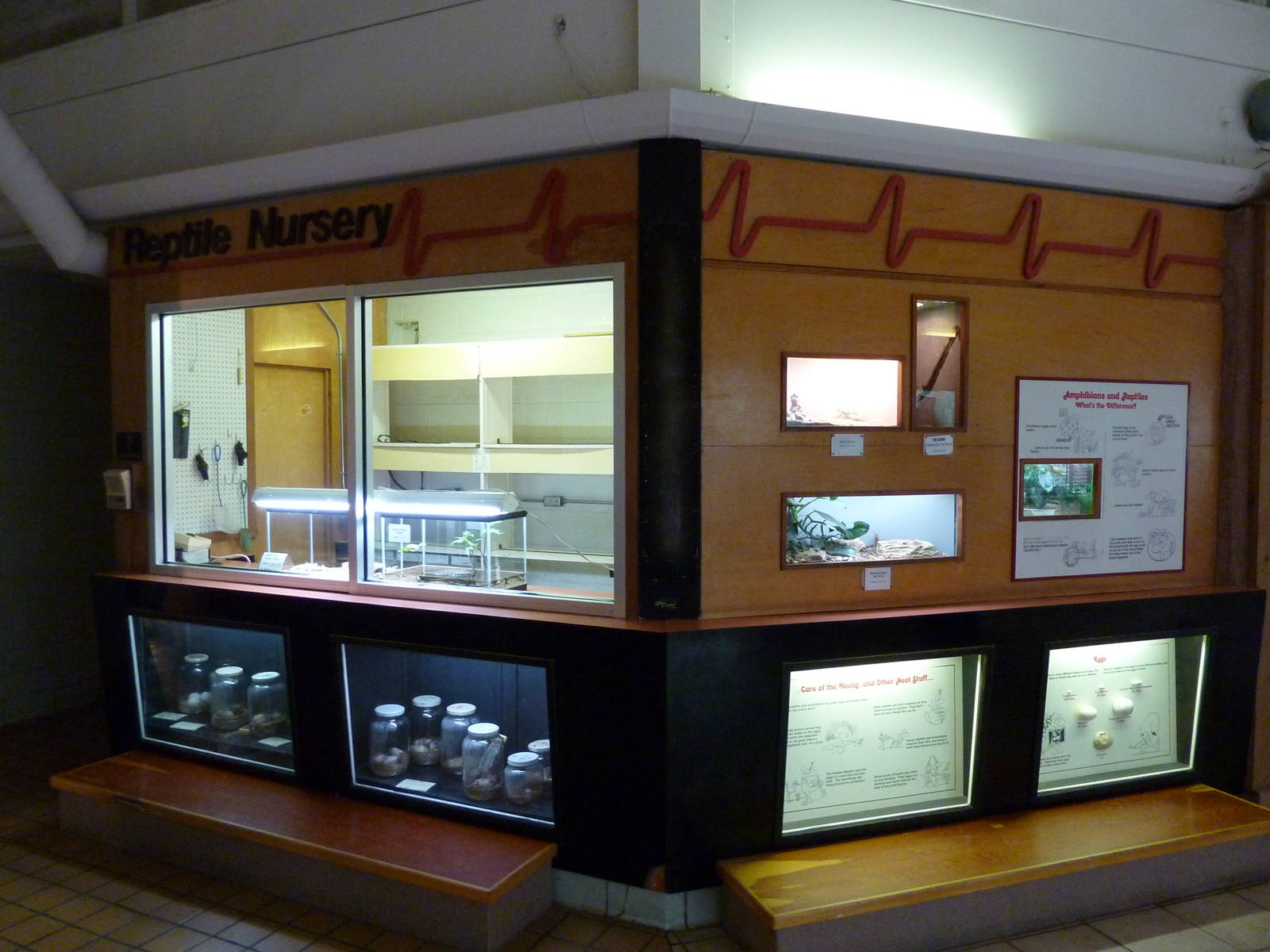 Conservation Centre - Primates, Birds, Reptiles, Amphibians + Fish