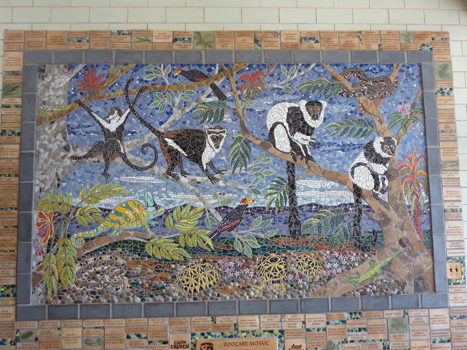 Conservation Centre - Primates, Birds, Reptiles, Amphibians + Fish