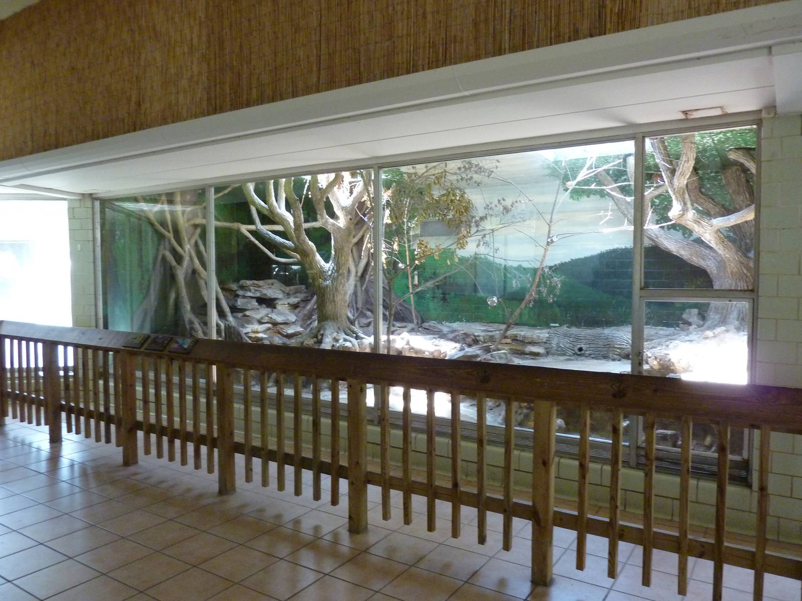 Conservation Centre - Primates, Birds, Reptiles, Amphibians + Fish