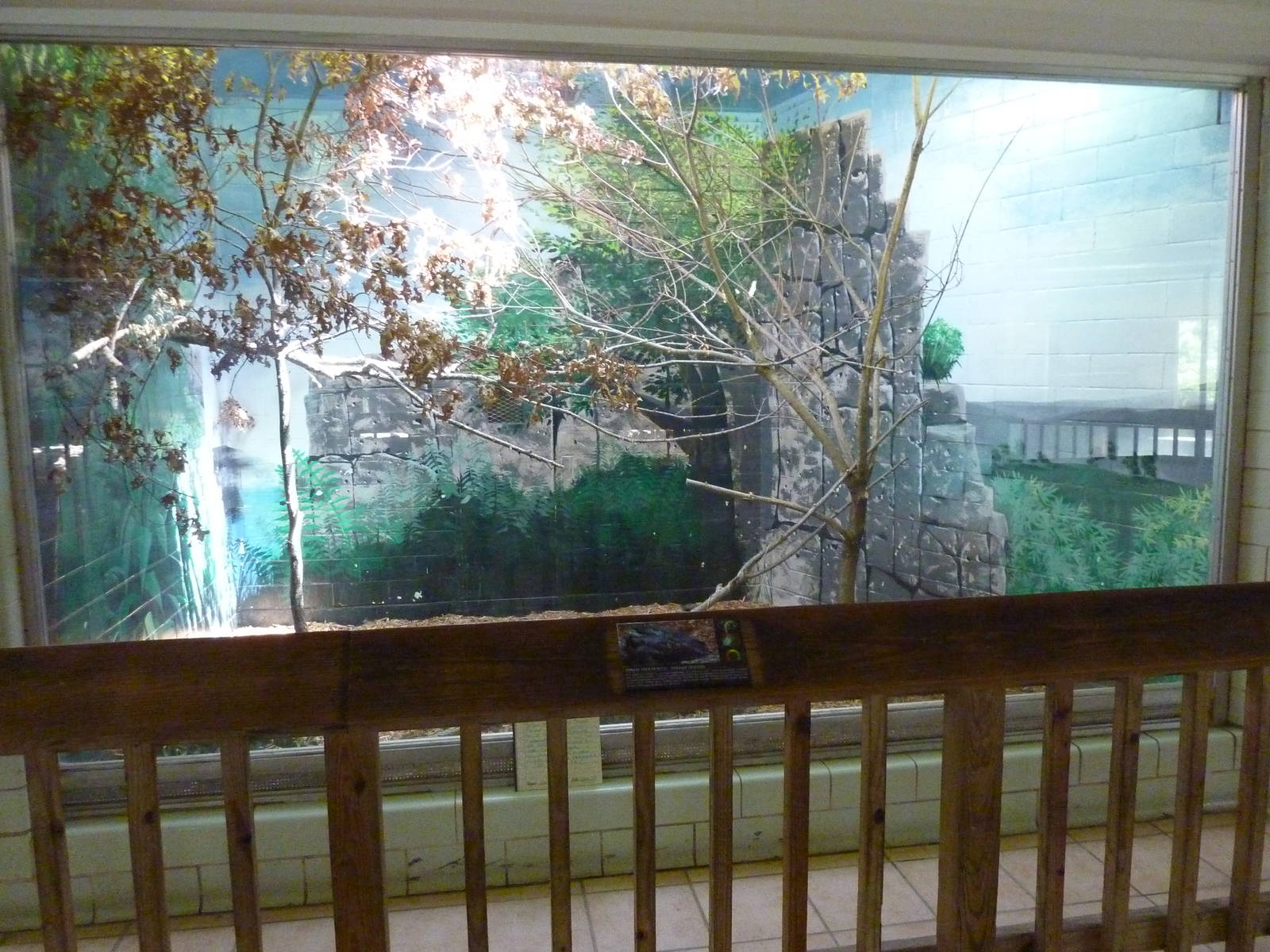 Conservation Centre - Primates, Birds, Reptiles, Amphibians + Fish