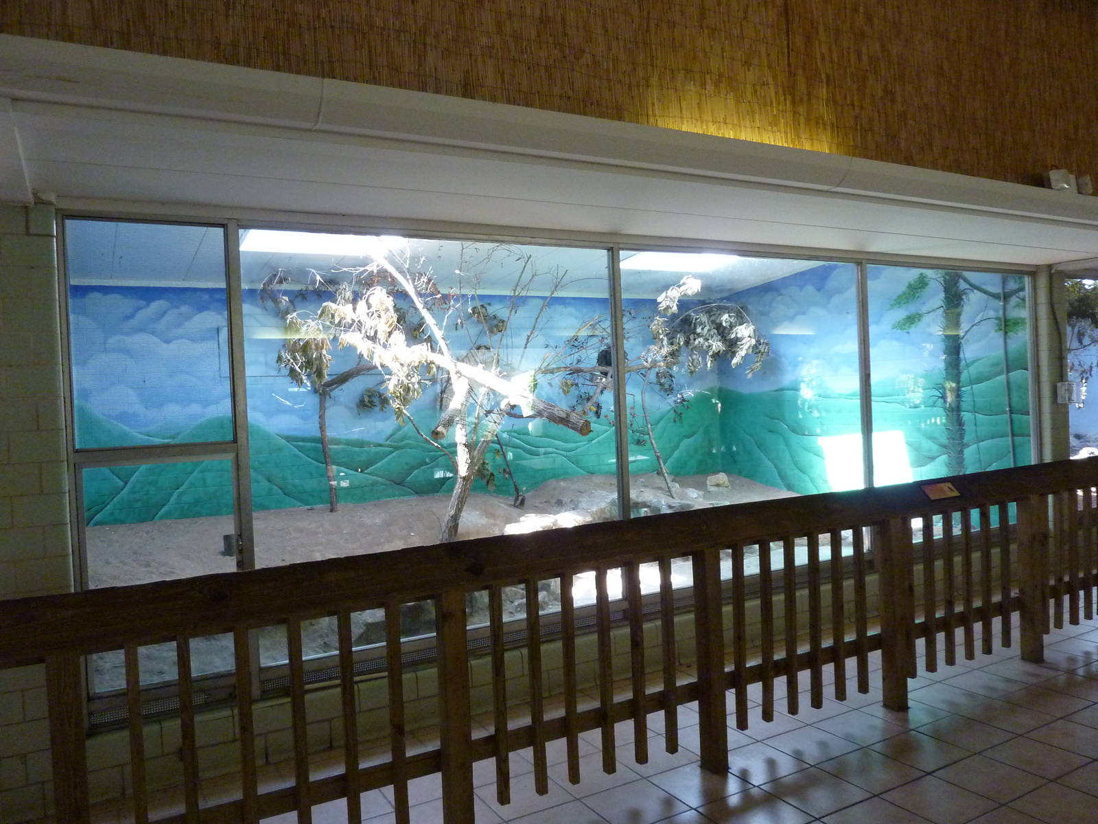 Conservation Centre - Primates, Birds, Reptiles, Amphibians + Fish