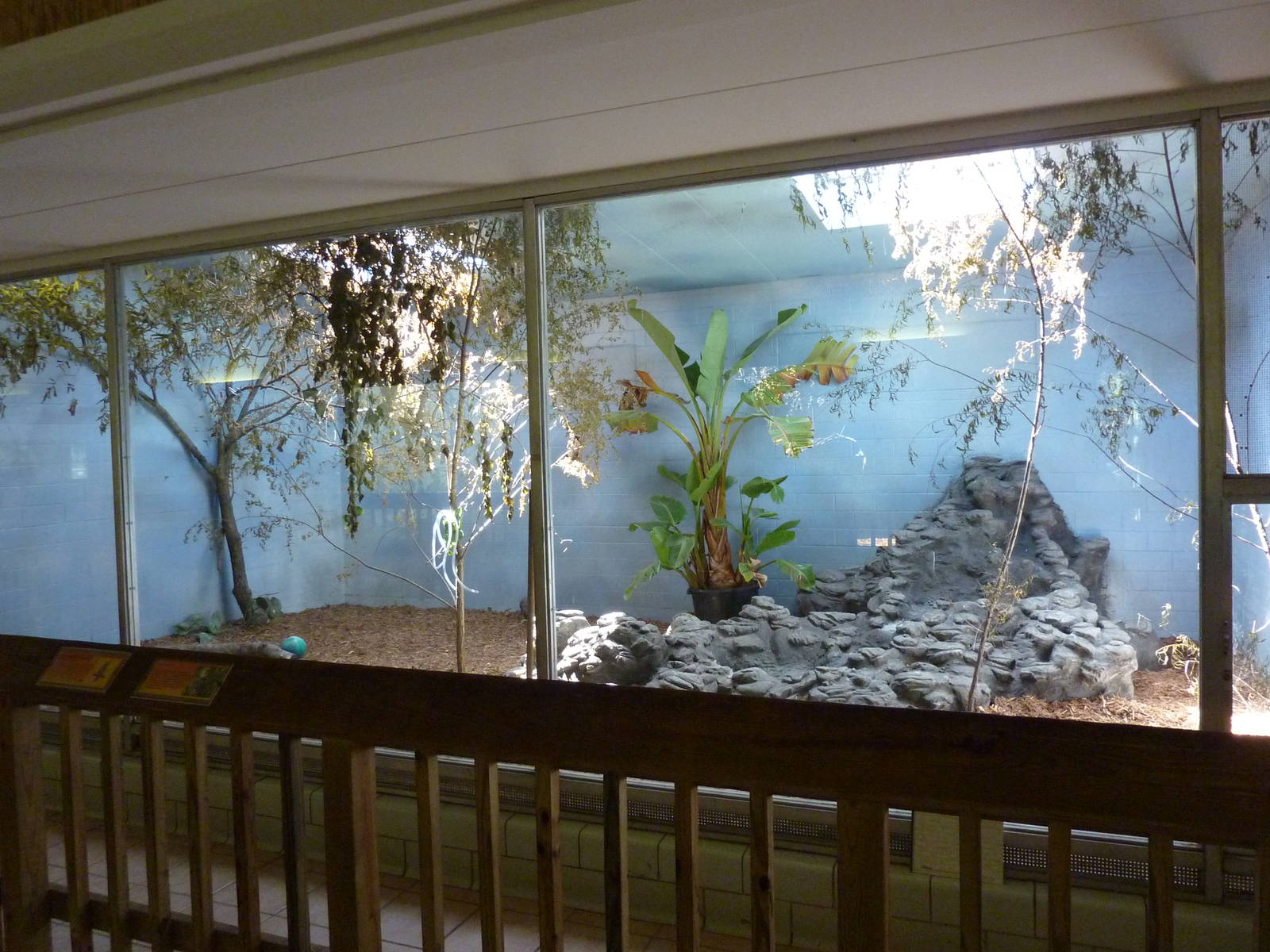 Conservation Centre - Primates, Birds, Reptiles, Amphibians + Fish