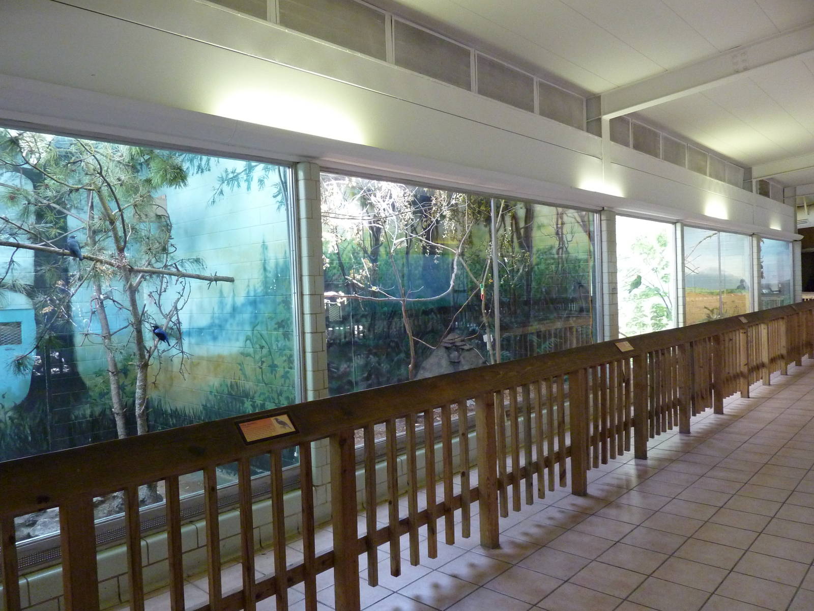 Conservation Centre - Primates, Birds, Reptiles, Amphibians + Fish