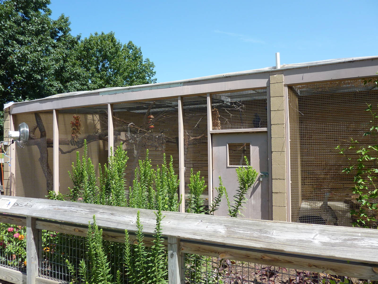 Conservation Centre - Primates, Birds, Reptiles, Amphibians + Fish