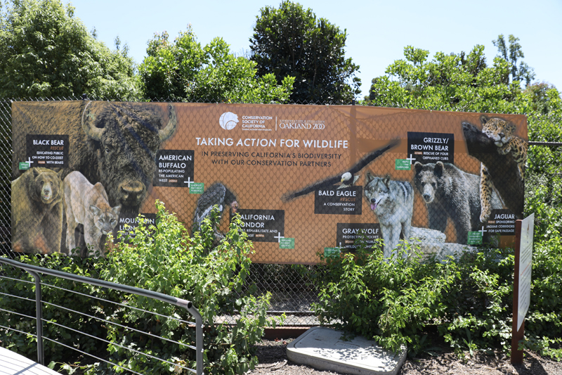 conservation connection sign