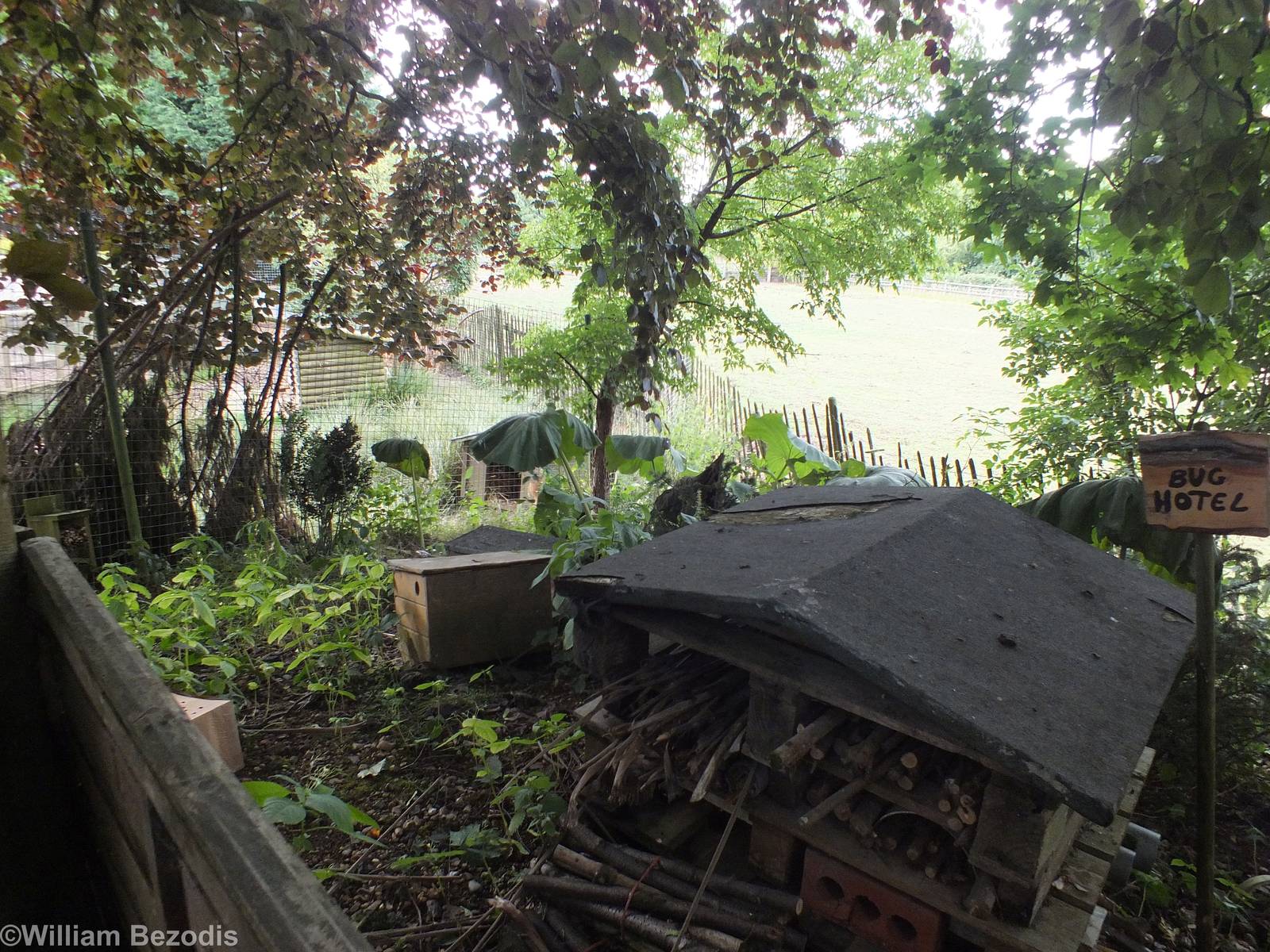 'Conservation Corner'