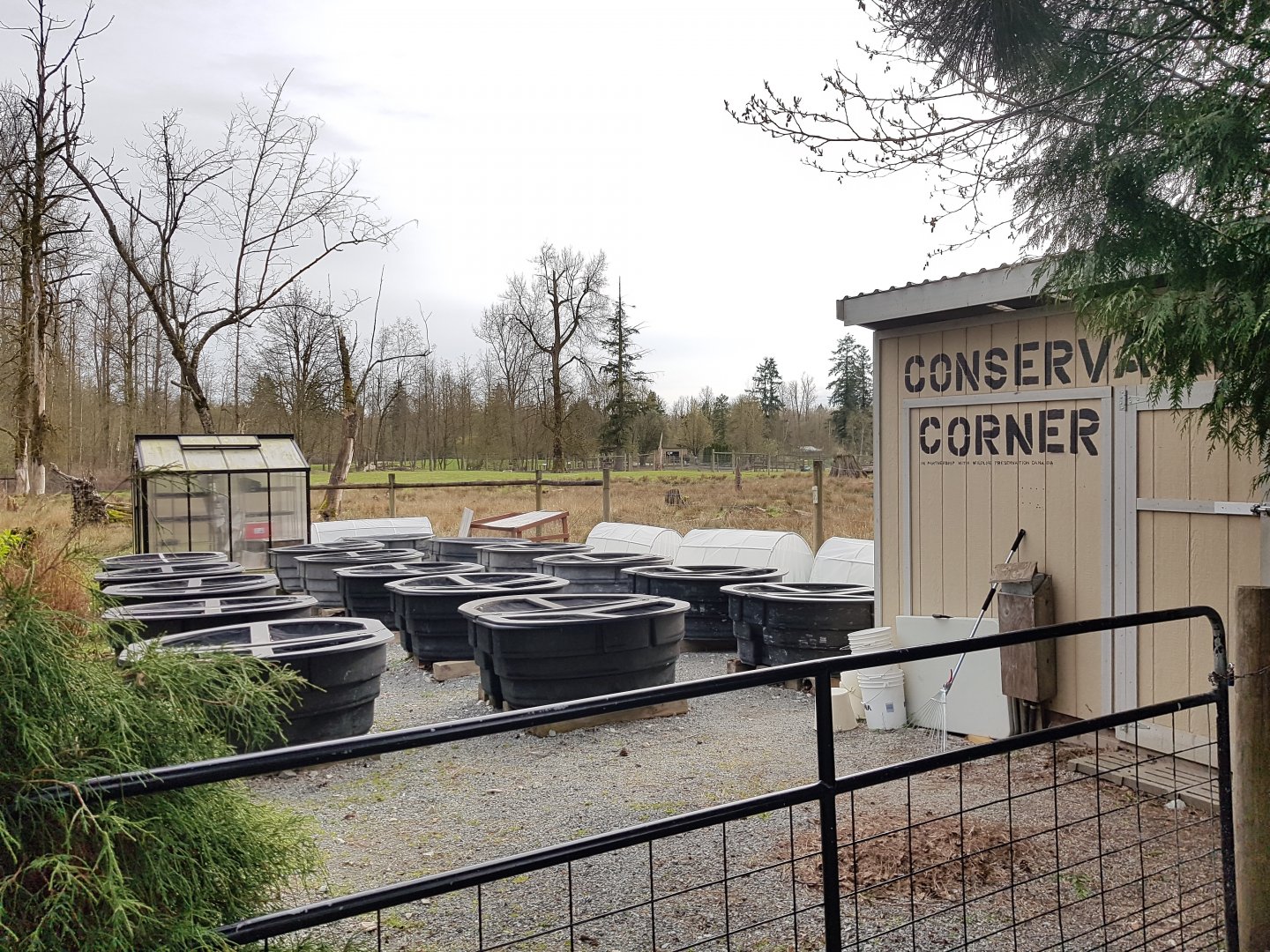 Conservation Corner