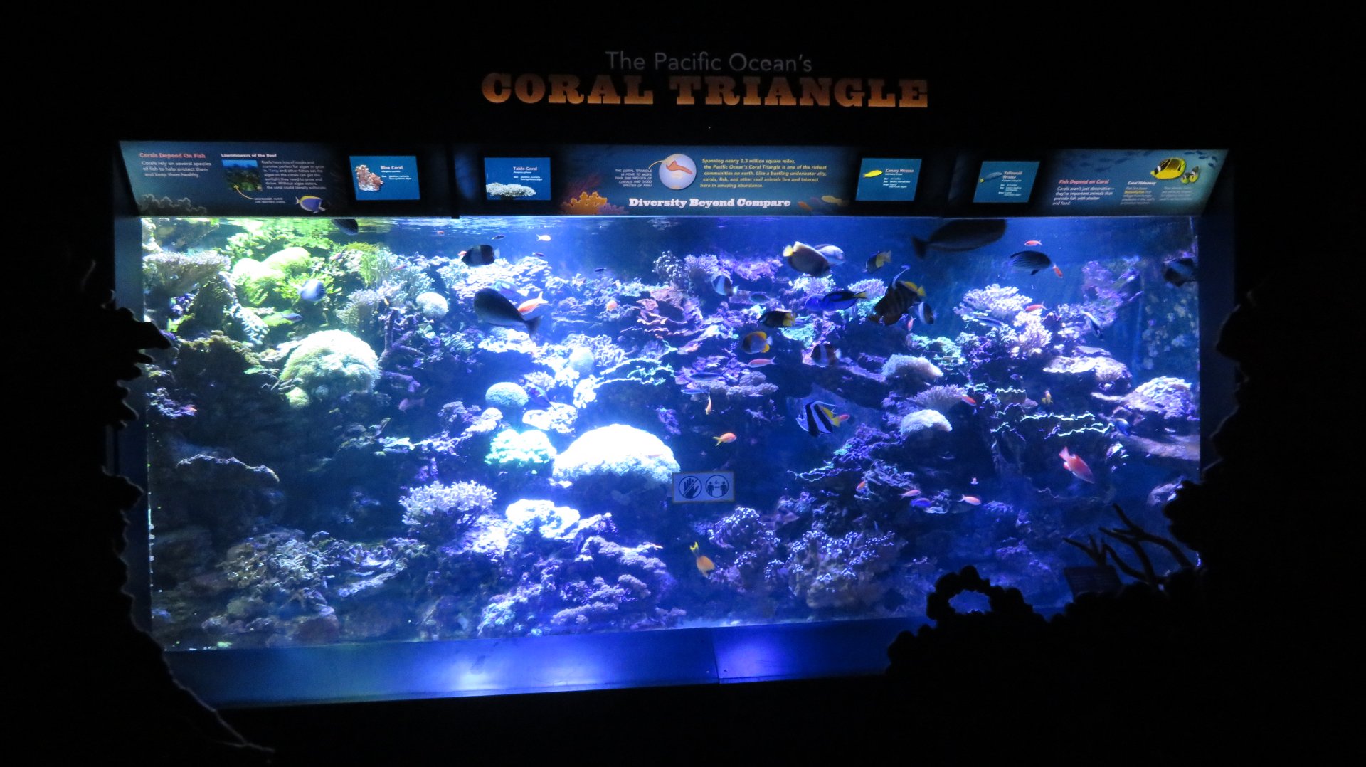Conservation Hall Tank