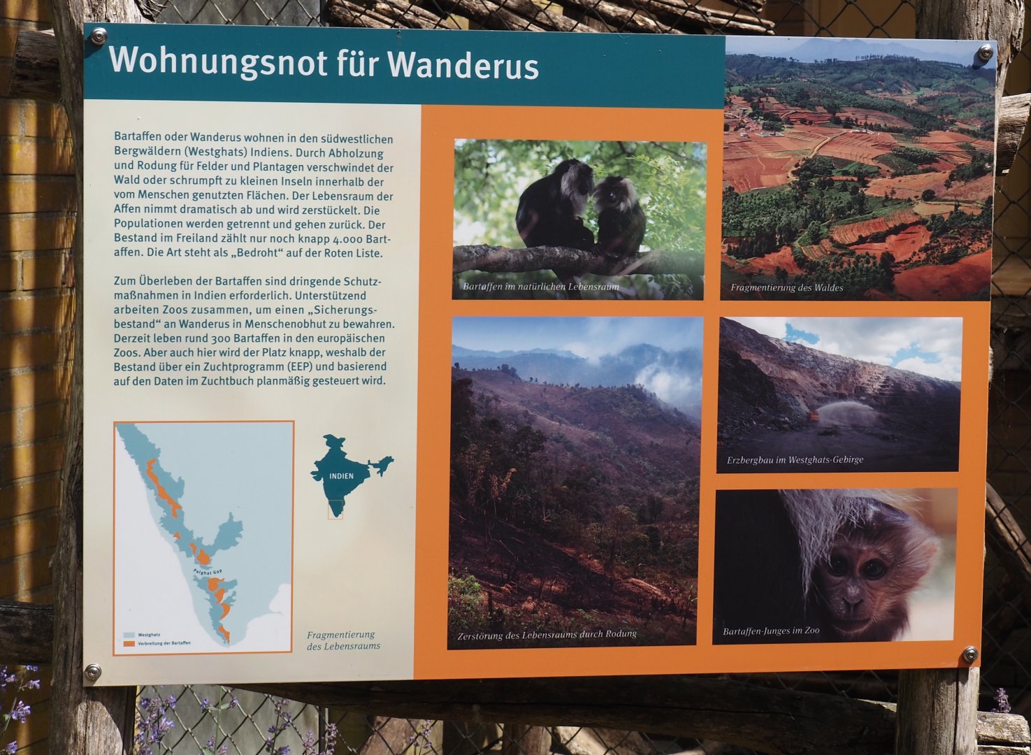 Conservation of Lion-tailed macaques in the Western Ghats signage, 2025-05-22