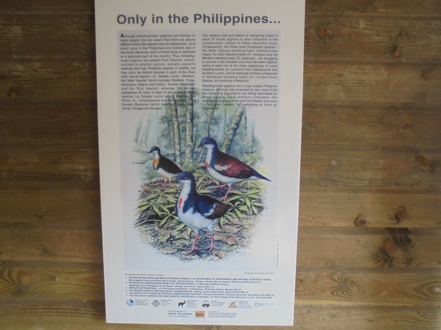 Conservation poster. Series of 4 featuring artwork by WLR.Oliver.