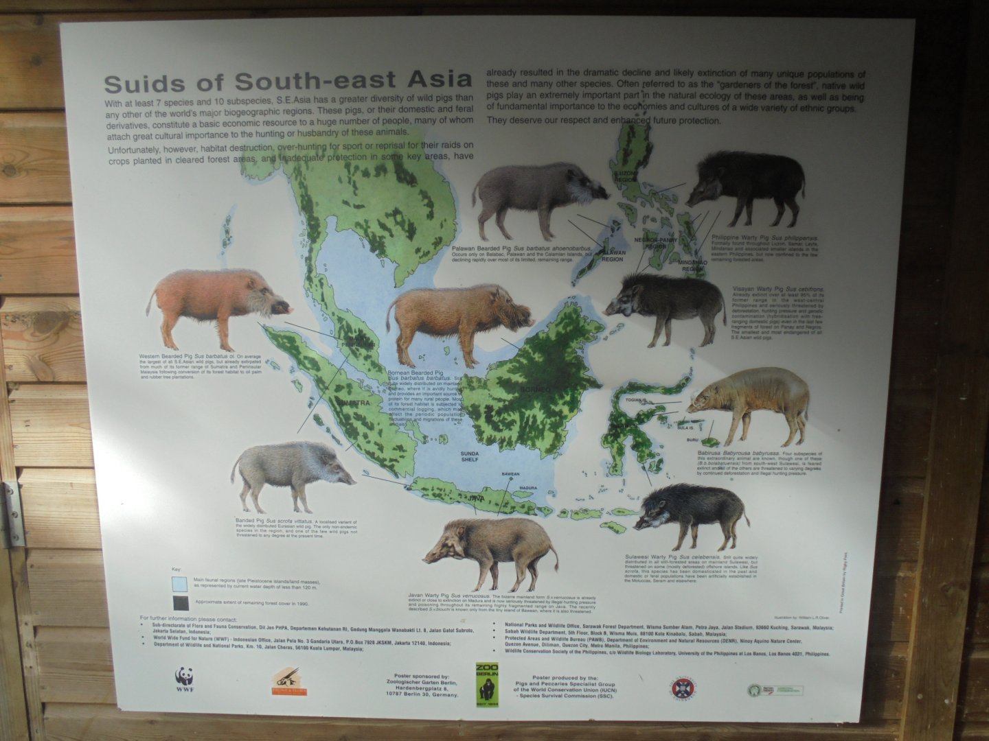 Conservation Poster.