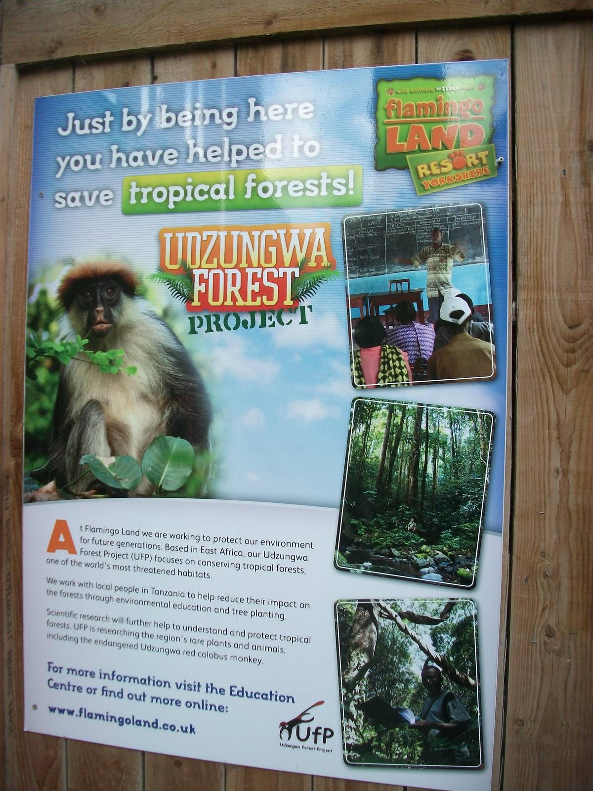 Conservation project signage - in Bird Show Theatre 31st May 2013