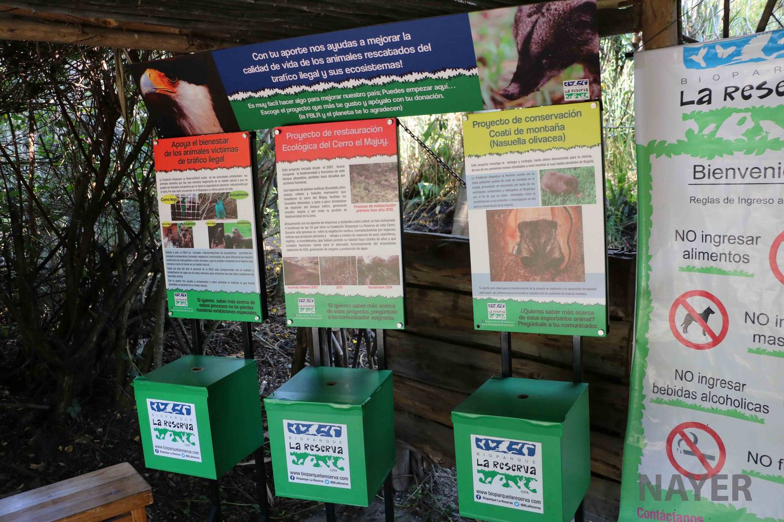 Conservation projects- Bioparque la Reserva, March 2016