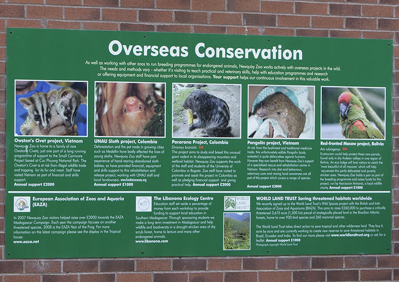 Conservation Projects board