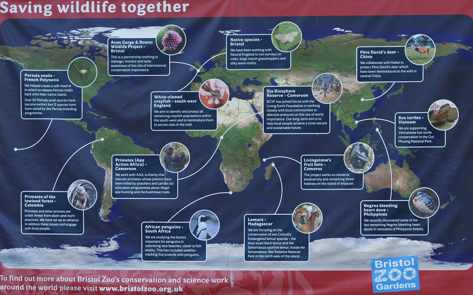 Conservation projects poster