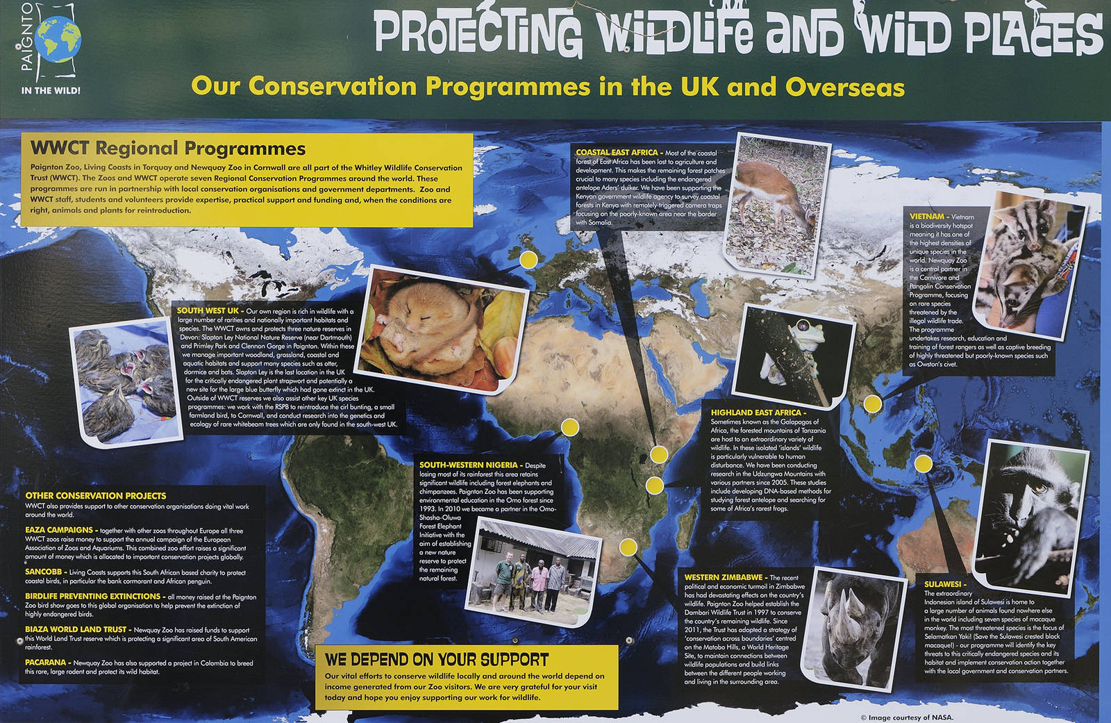 Conservation Projects Poster