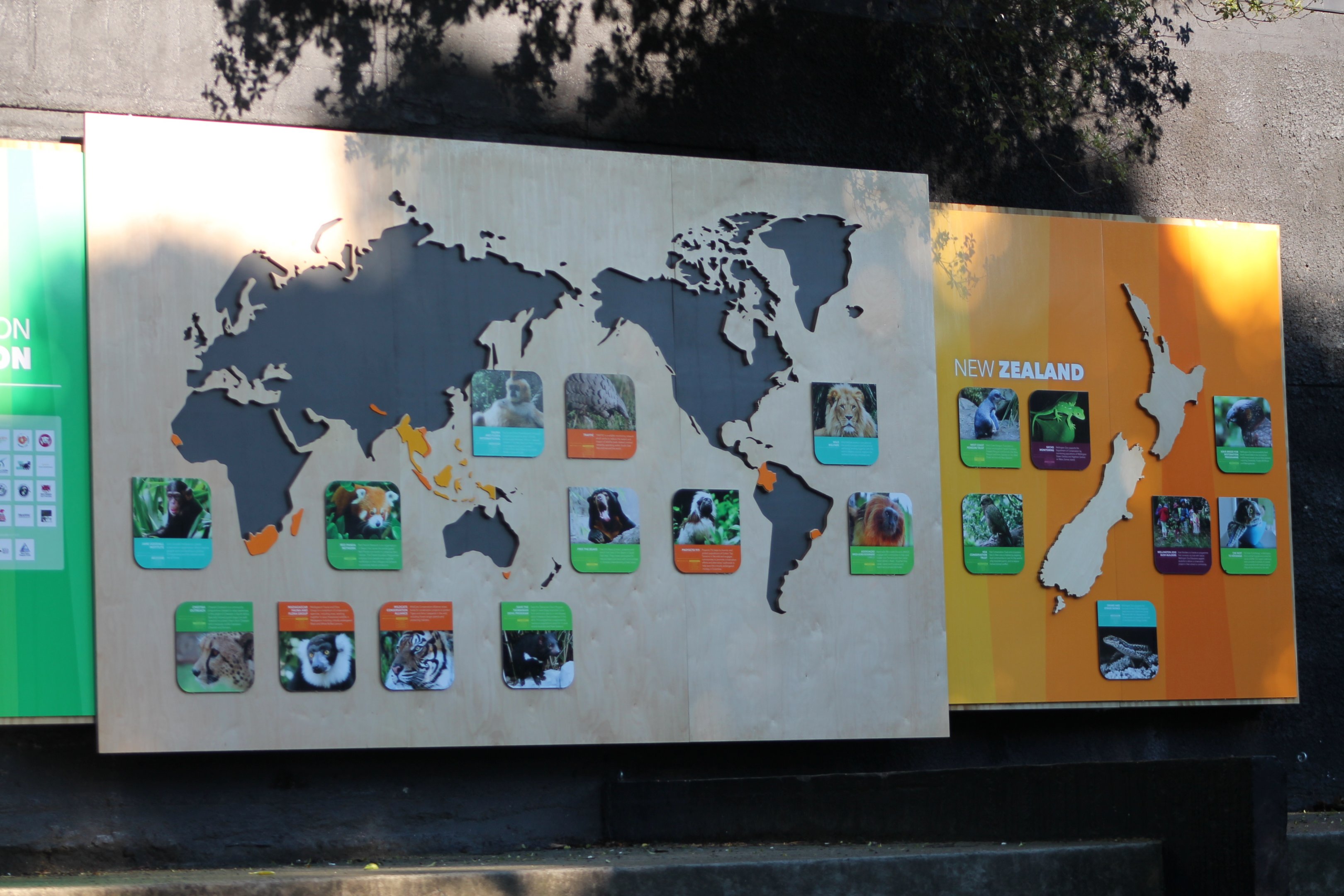 Conservation projects with which the zoo is involved