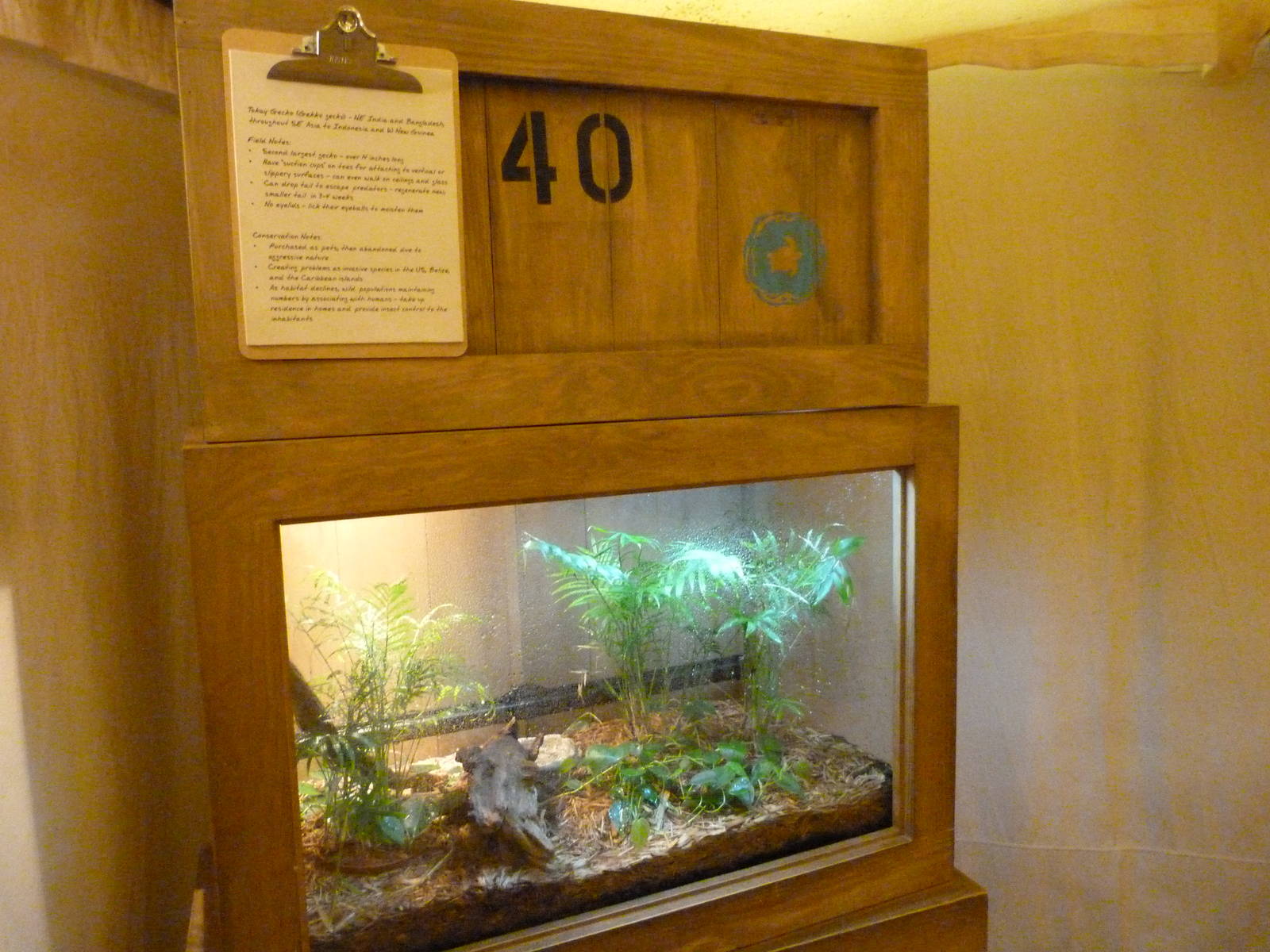 Conservation Station (7-18-12)