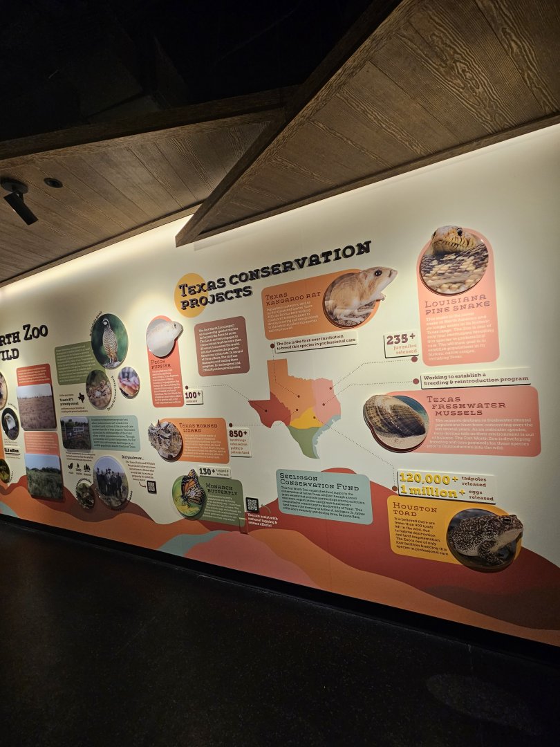 Conservation Stories