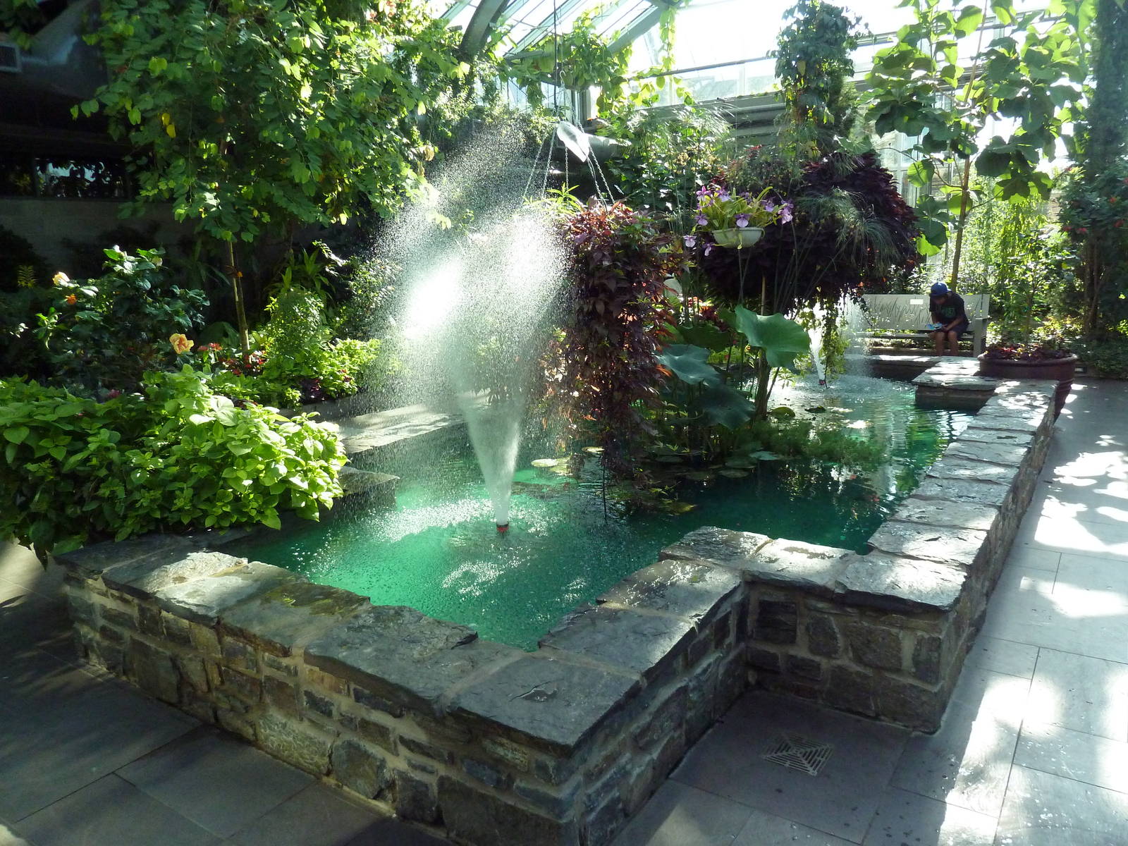 Conservatory - Butterfly Walk-Through Area