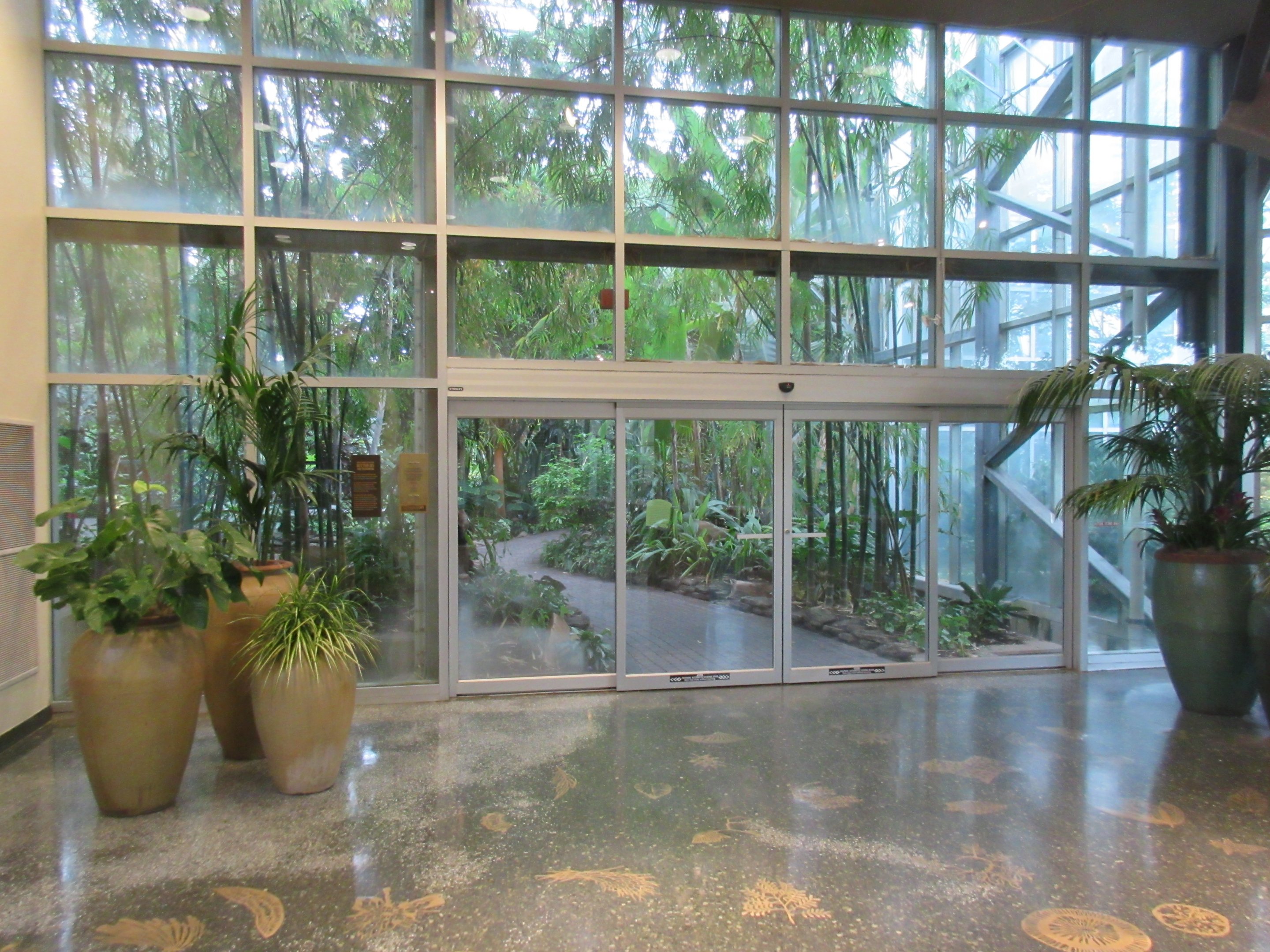 Conservatory - Entrance