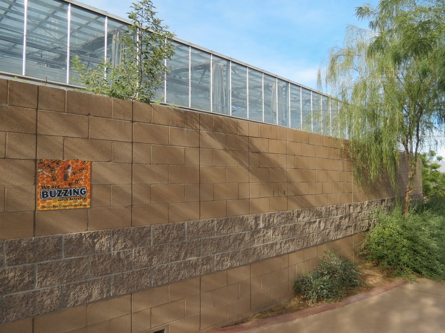 Conservatory - Exterior of Pollinator Paradise Garden