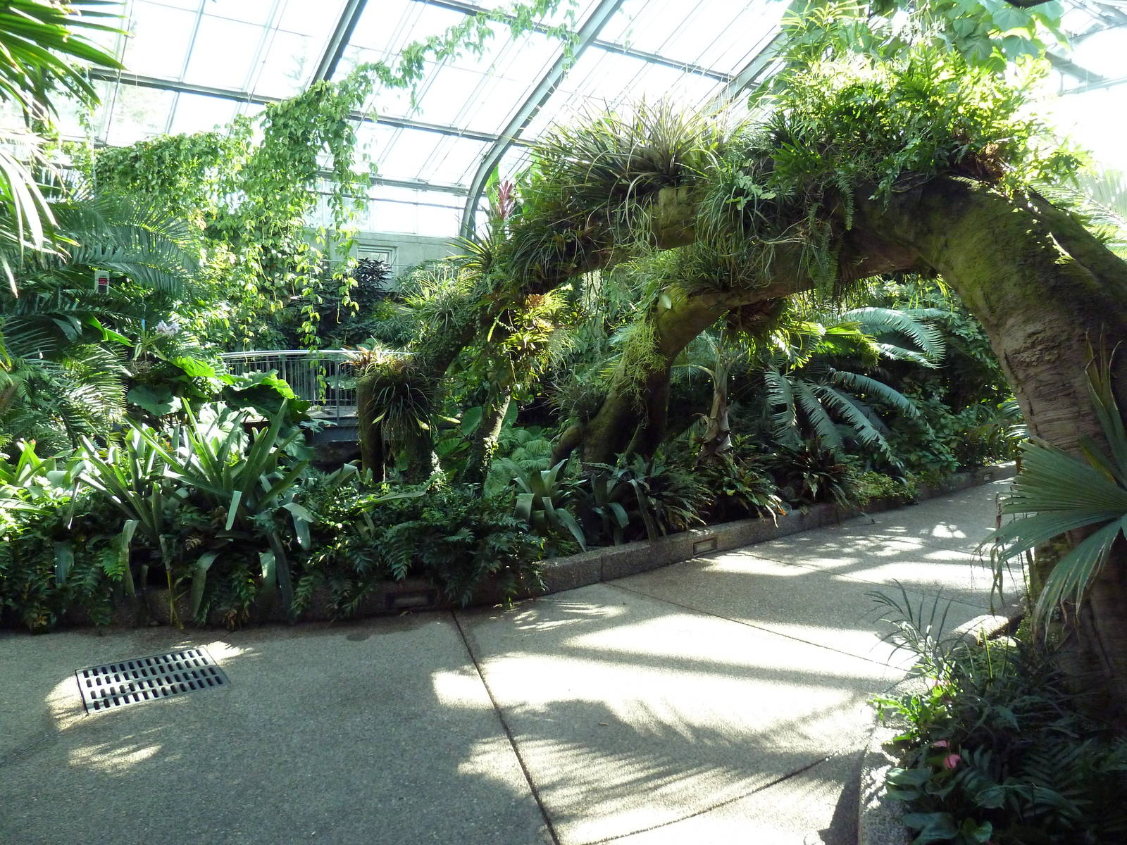 Conservatory - Garden of Life