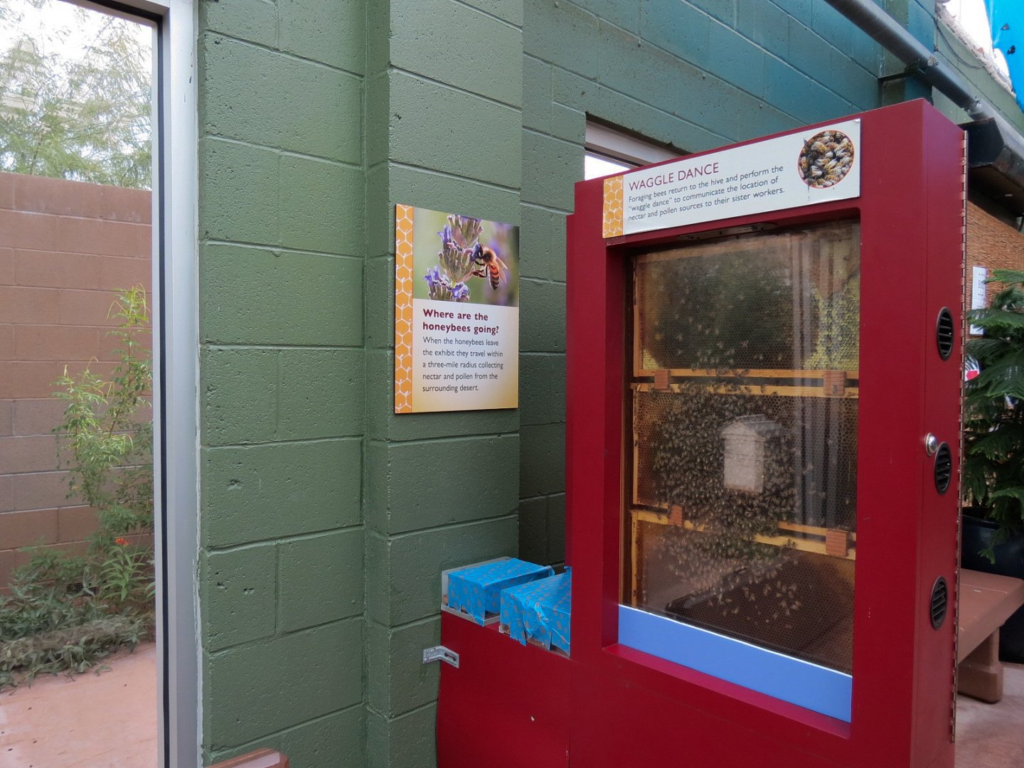 Conservatory - Honeybee Extravaganza