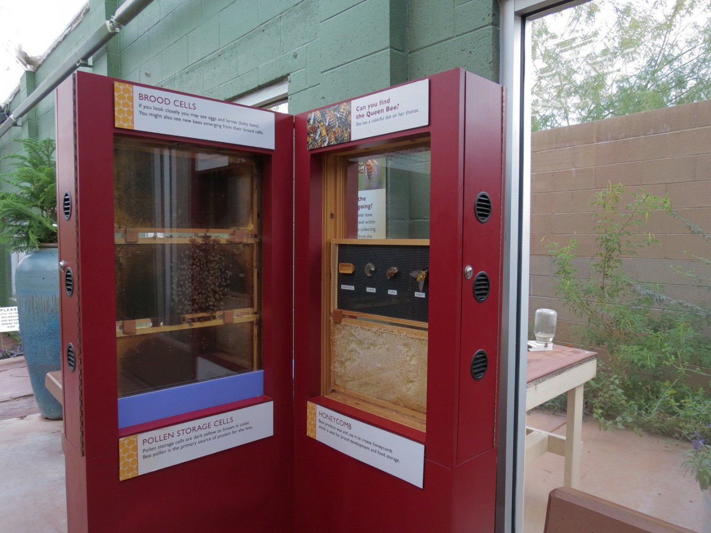 Conservatory - Honeybee Extravaganza