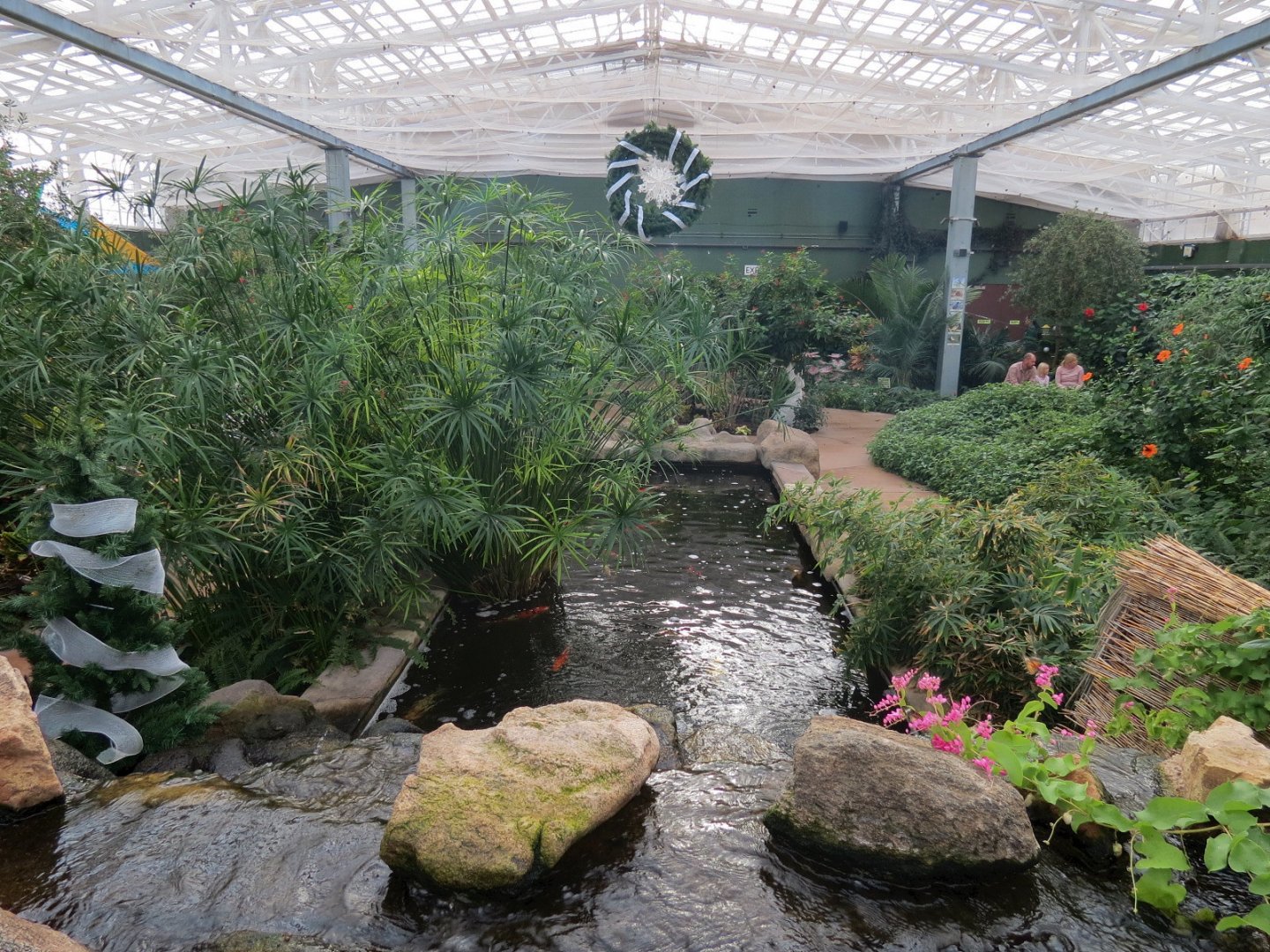 Conservatory - Waterfall and Koi Pond