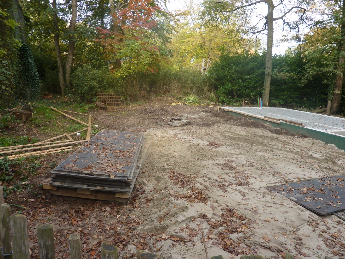 Construcion works near clouded leopards 2