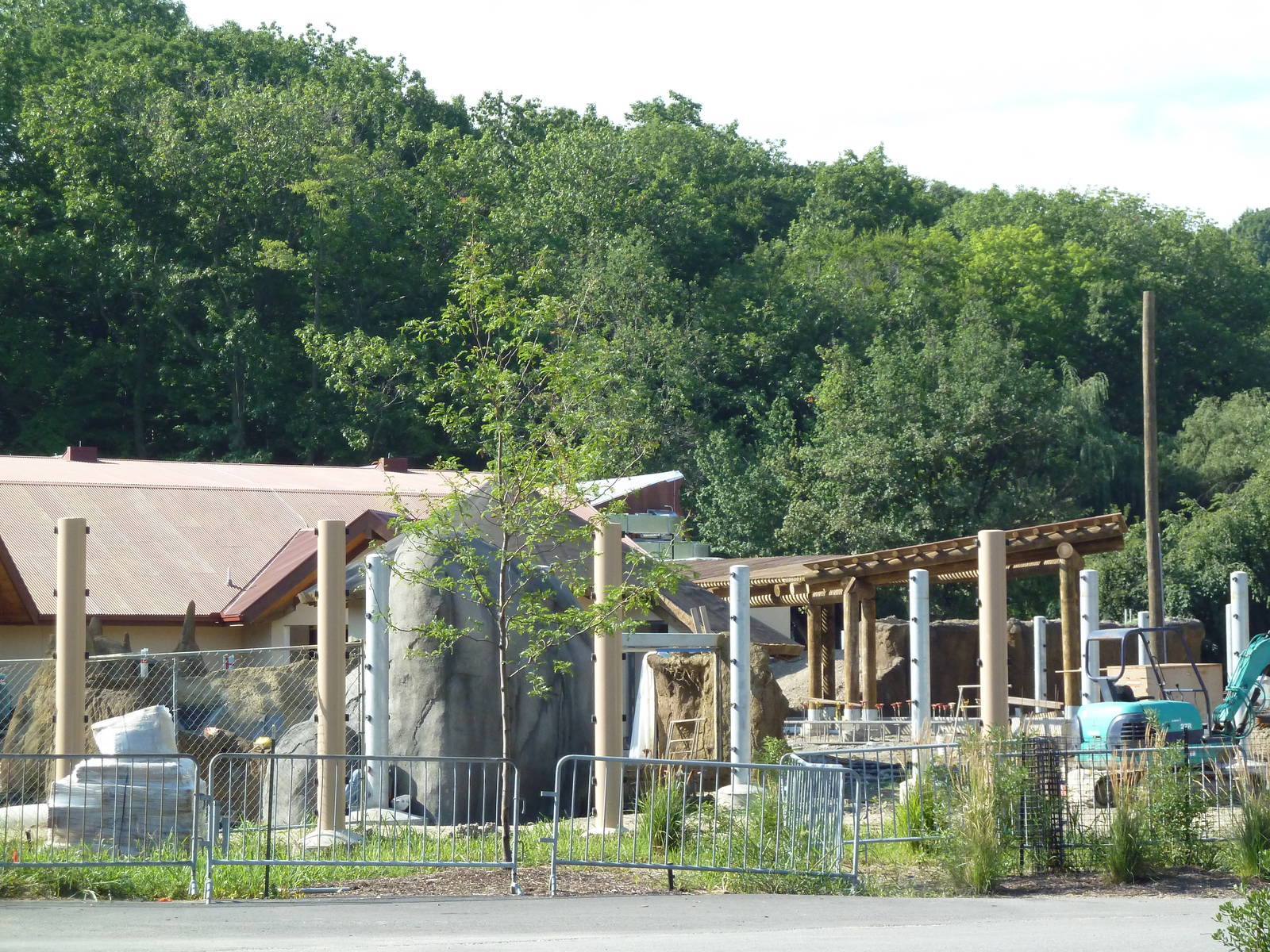 Construction - African Elephant Crossing
