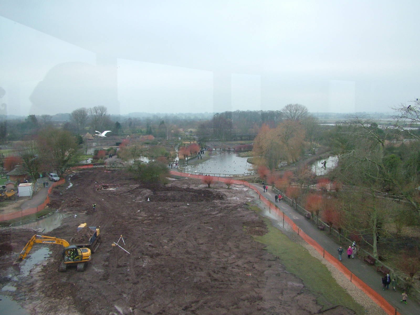 Construction and Close Encounters pool at Slimbridge 06/02/10