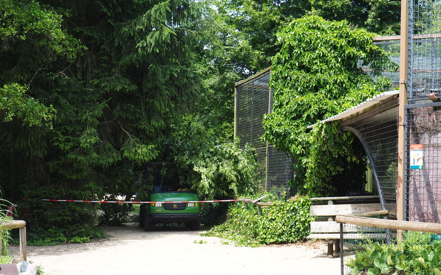 Construction and maintenance work on and near the small cat exhibits, 2021-06-15