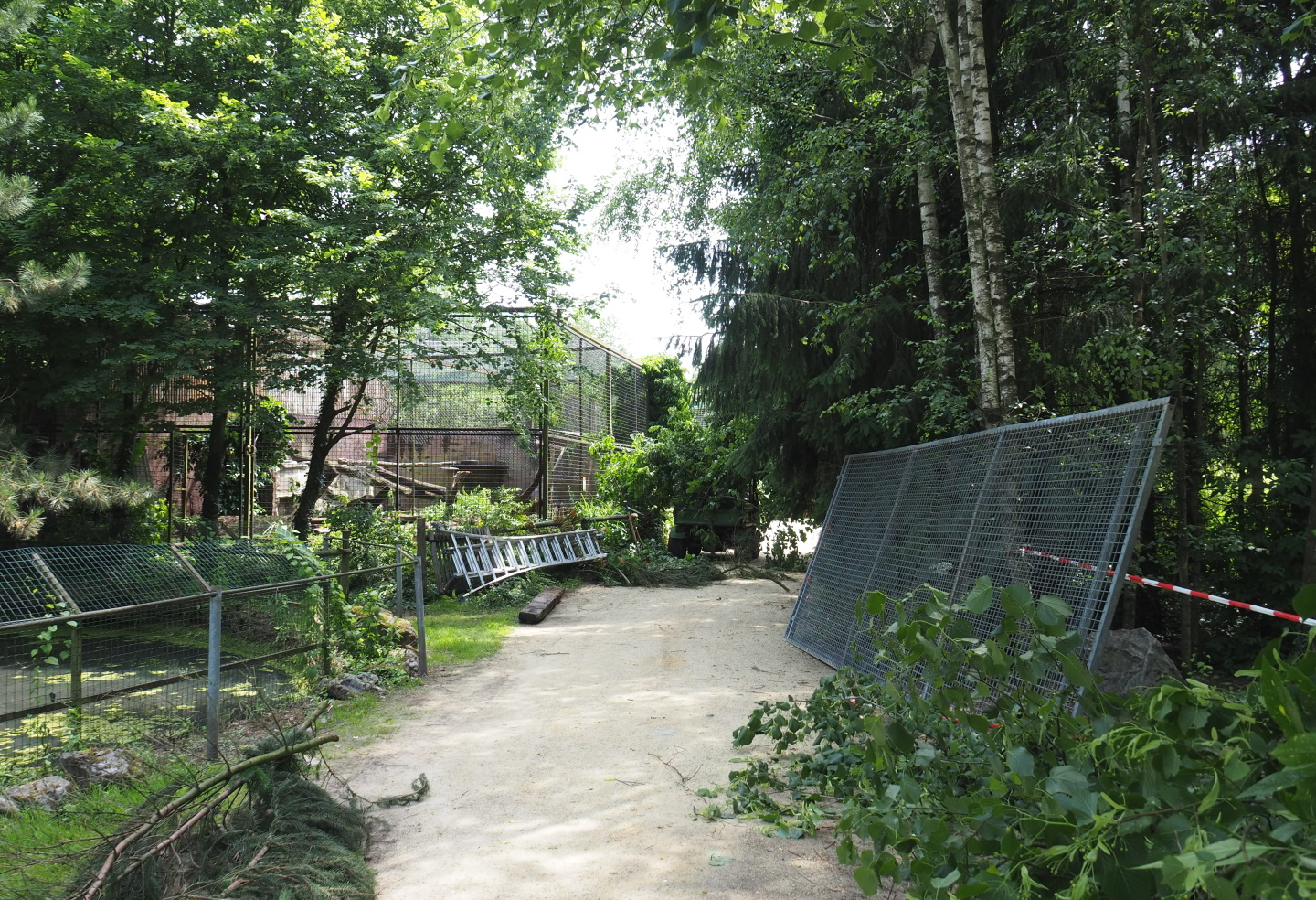 Construction and maintenance work on and near the small cat exhibits, 2021-06-15