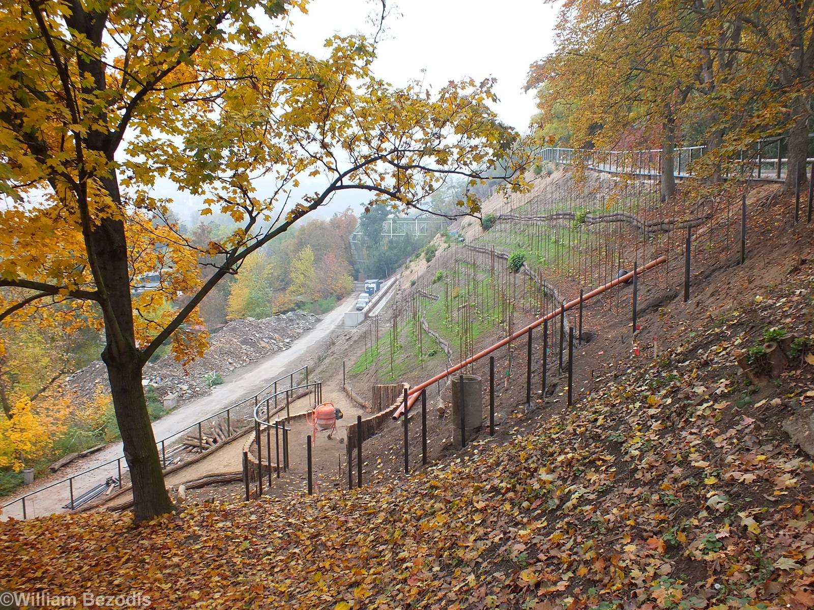 Construction Area for a New Parrot Exhibit